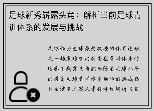 足球新秀崭露头角：解析当前足球青训体系的发展与挑战